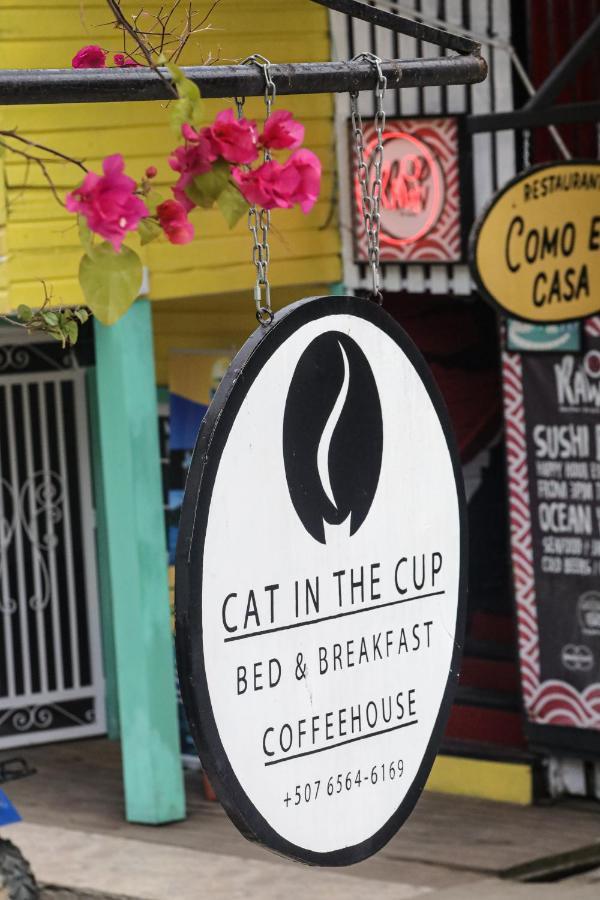 בוקס דל טורו Cat In The Cup B&B מראה חיצוני תמונה